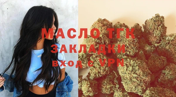 стафф Гусев