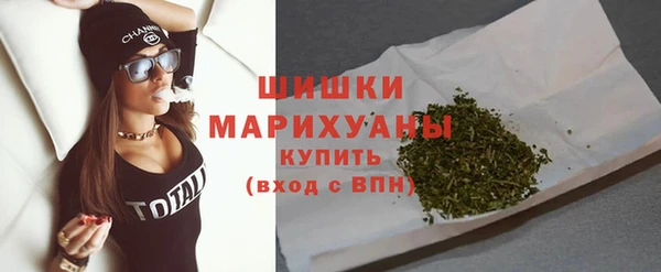 стафф Гусев