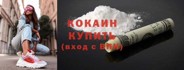 стафф Гусев