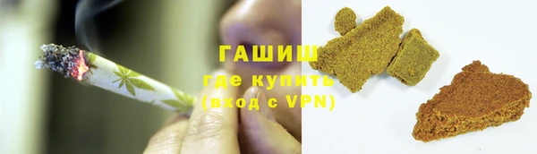 стафф Гусев