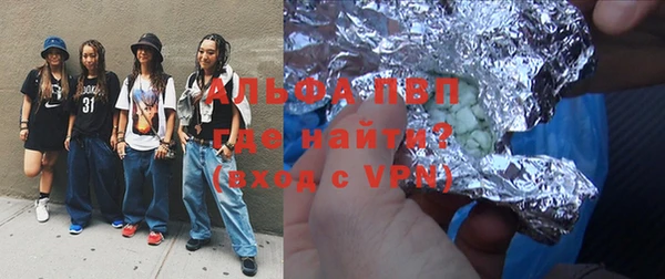 стафф Гусев