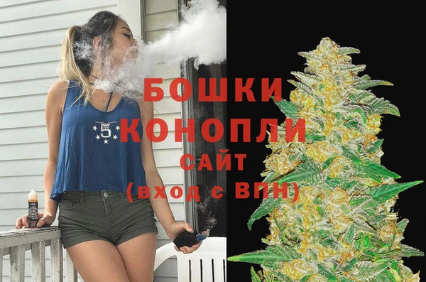 apvp Гусиноозёрск