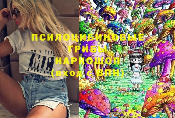 a pvp Гусь-Хрустальный