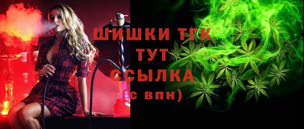 a pvp Гусь-Хрустальный