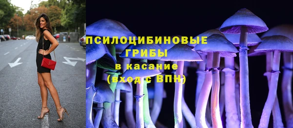 стафф Гусев