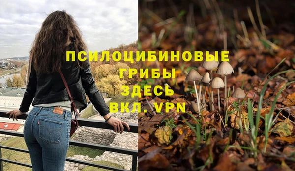apvp Гусиноозёрск