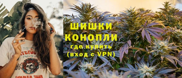 apvp Гусиноозёрск